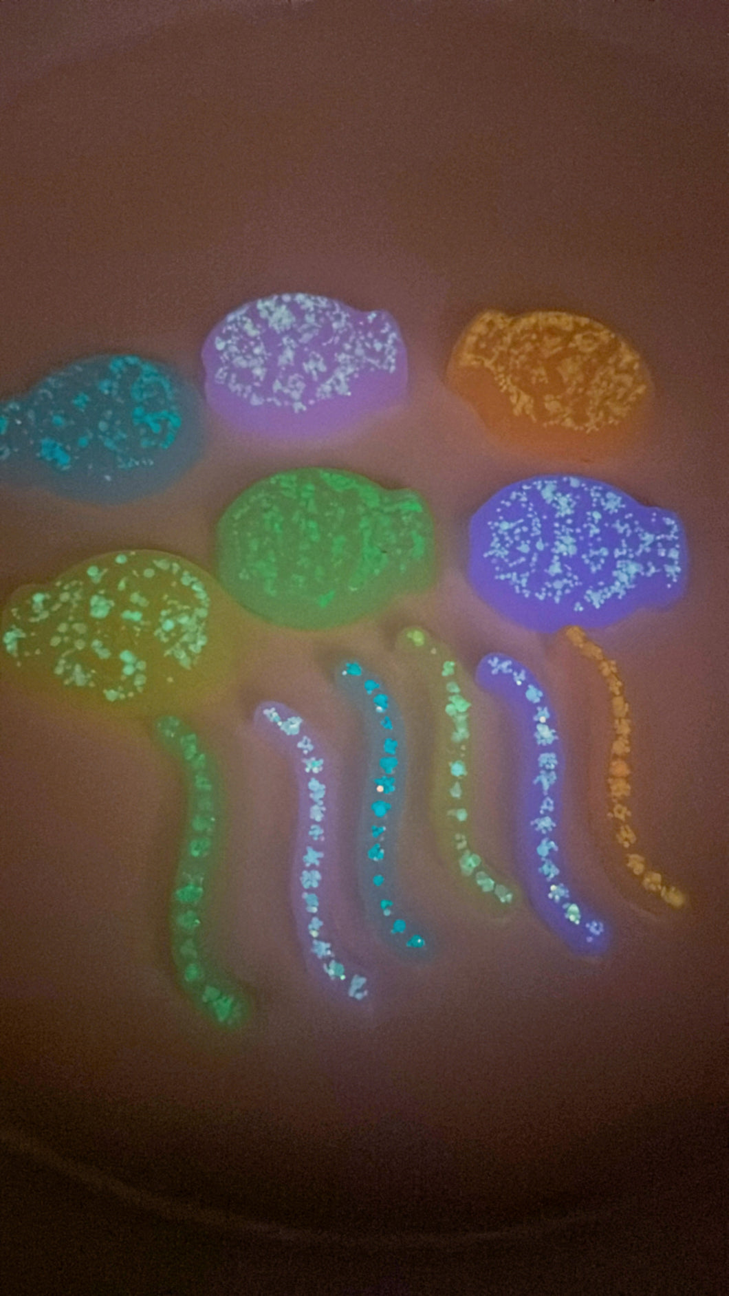 Glow in the Dark Fish & Worms