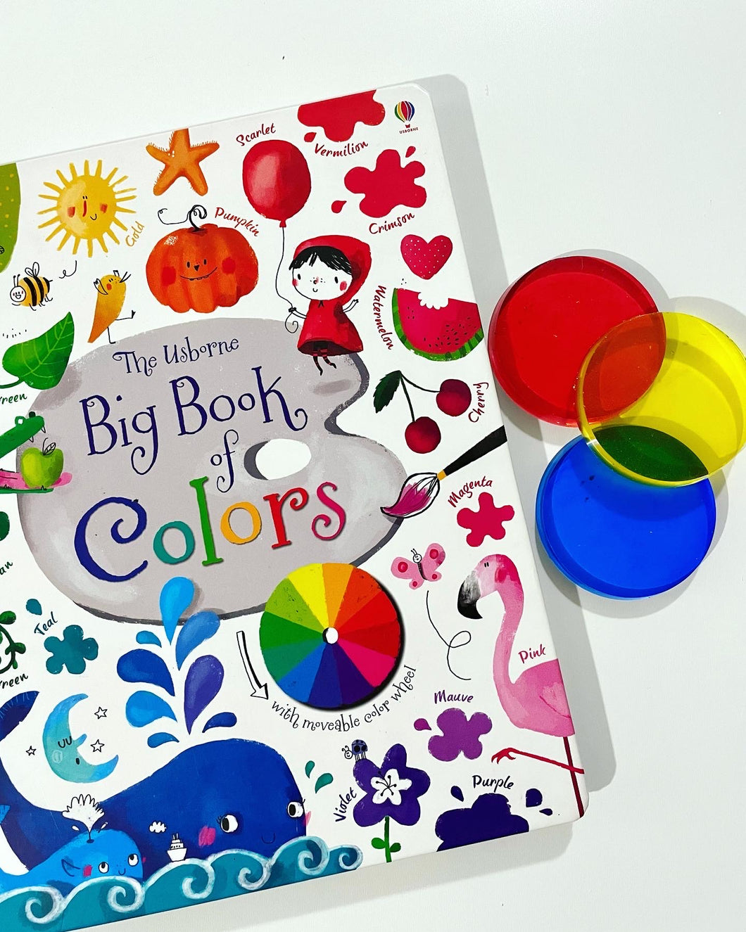 Big Book of Colors (w/ BUNDLE option)